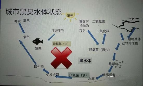 江蘇億元投資治污新技術 石墨烯能否治理黑臭水體？