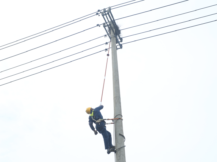 國網余姚市供電公司鳥巢特巡提升線路健康水平