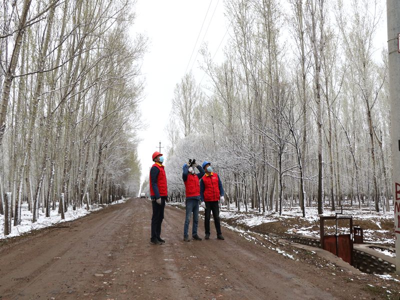 國網(wǎng)伊犁伊河供電公司四月飛雪，電力員工巡視線路保供電