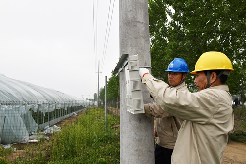 江蘇東海供電為草莓大棚架起放心電