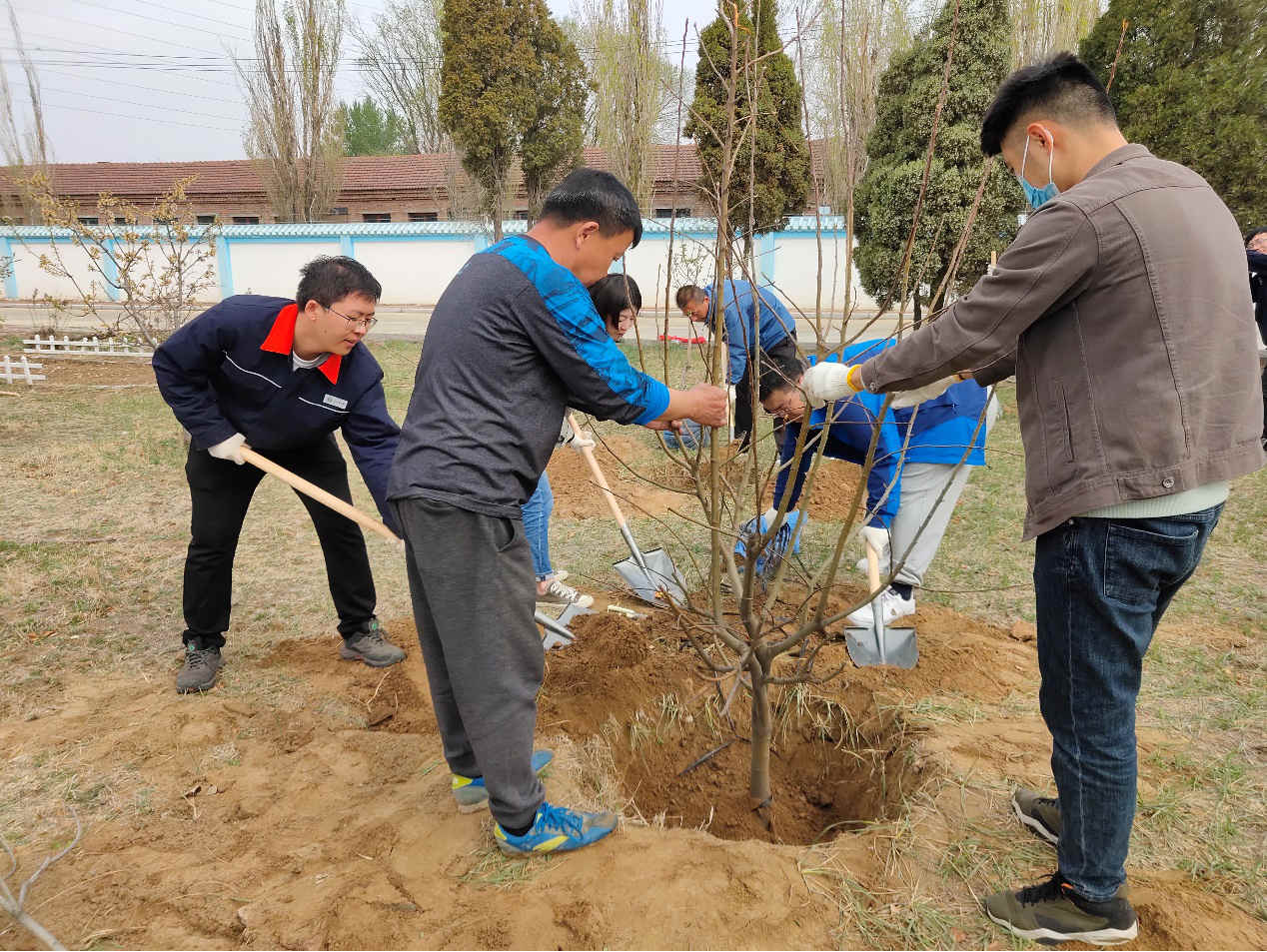 植樹護綠 共建美好家園