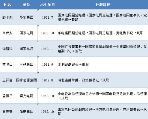 11家電力央企領導全檔案