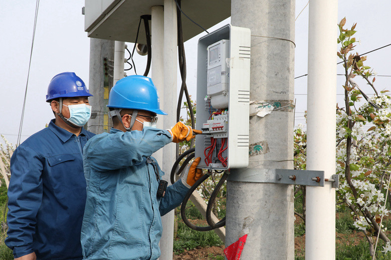 國網(wǎng)諸城市供電公司電力足，千畝梨園花正濃