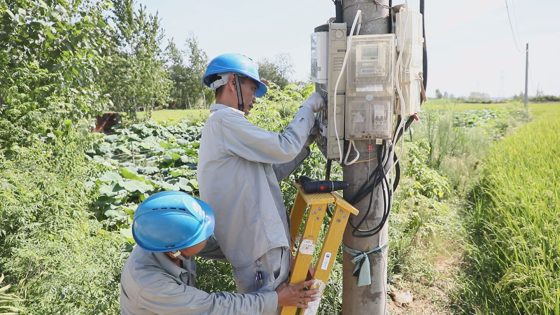 湖北襄州：高溫抗旱保供電 灌溉農(nóng)田潤(rùn)民心