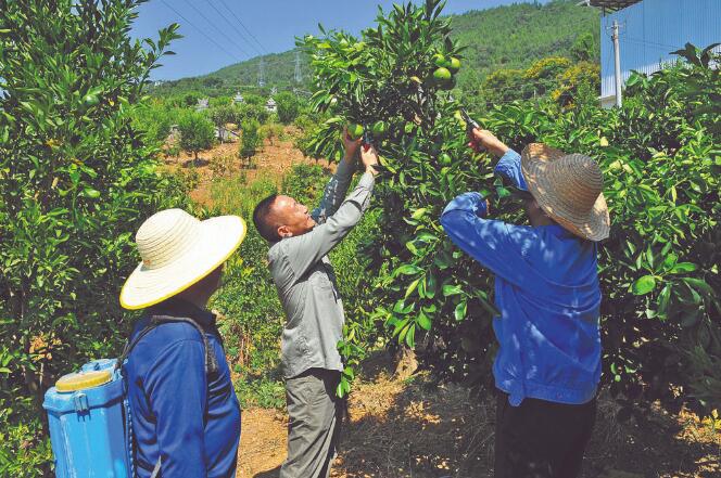 王國洲：把村事當家事，把村民當親人