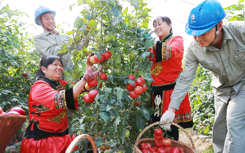 國網(wǎng)湖北電力公司民族團(tuán)結(jié)進(jìn)步工作紀(jì)實(shí)