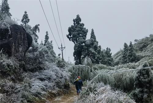 國網(wǎng)壽寧縣供電公司寒潮特巡嚴防線路覆冰