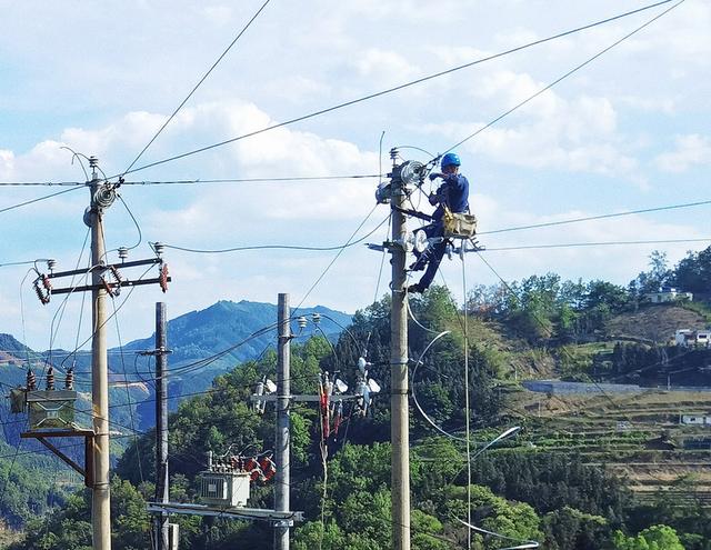 冊(cè)亨供電局高故障線路打上“強(qiáng)化針” 確保群眾用電無(wú)憂