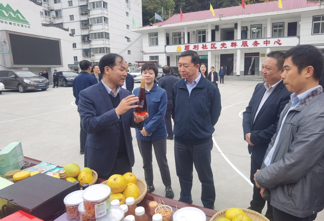 中核集團總經(jīng)理、黨組副書記顧軍赴陜西白河、旬陽調(diào)研鄉(xiāng)村振興工作