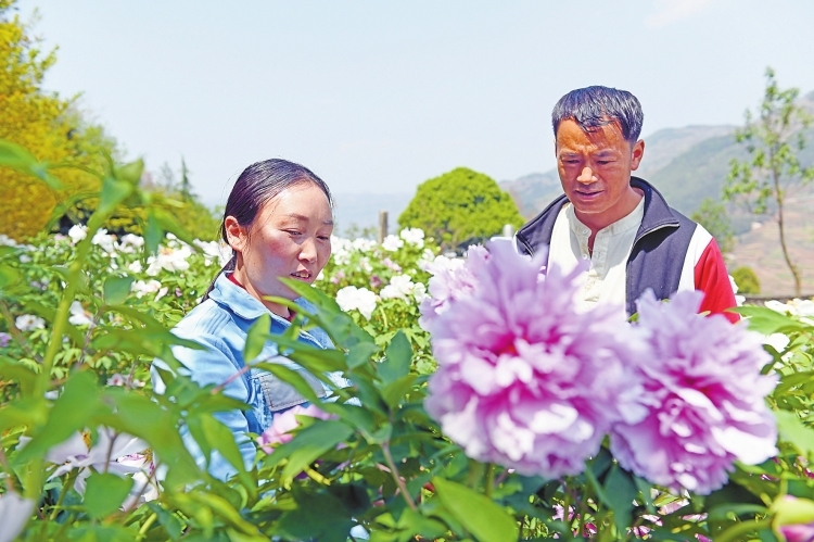 項(xiàng)利萍：七年駐村路 哭過笑過從沒放棄過